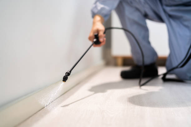 Professional exterminator conducting IPM assessment in Balch Springs