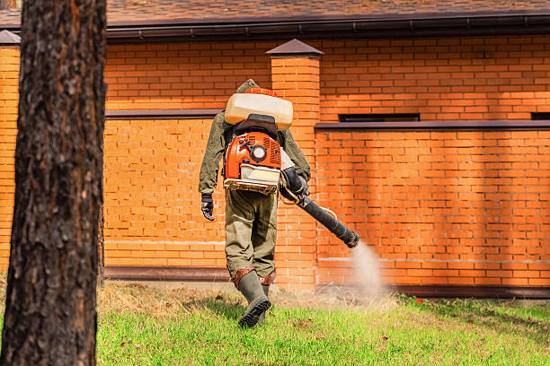 Bed Bug Clearance Verification and Documentation in Balch Springs